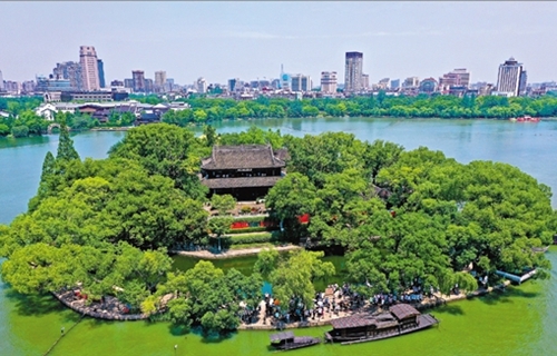 奋楫笃行迎“七一”